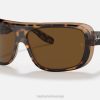 sl Ray-Ban moški blair sončna očala polirana havana na prozorno rjavo/rjavo VB06504