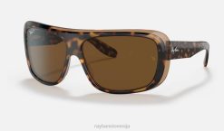 sl Ray-Ban moški blair sončna očala polirana havana na prozorno rjavo/rjavo VB06504