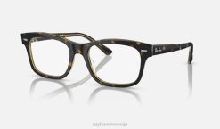 sl Ray-Ban moški burbank optika očala polirana havana na prozornem VB061733