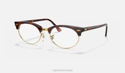 sl Ray-Ban moški Clubmaster ovalna optika očala polirana želva VB062396