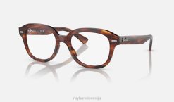 sl Ray-Ban moški erik optika očala polirana črtasta havana VB061697