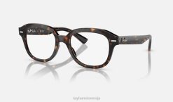sl Ray-Ban moški erik optika očala polirana havana VB061693