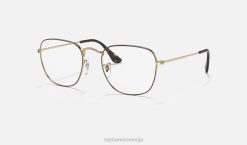 sl Ray-Ban moški frank optika očala polirano zlato VB061837