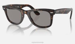 sl Ray-Ban moški izvirna klasika popotnika sončna očala polirana havana/siva VB0617