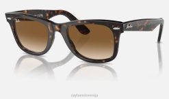 sl Ray-Ban moški izvirna klasika popotnika sončna očala polirana želva/svetlo rjava VB0615