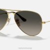 sl Ray-Ban moški kolekcija aviator havana sončna očala polirano zlato/sivo VB06900