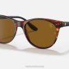 sl Ray-Ban moški kolekcija rb2202m scuderia ferrari sončna očala polirana havana/rjava VB061355