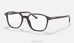 sl Ray-Ban moški leonard optika očala polirana havana VB061822