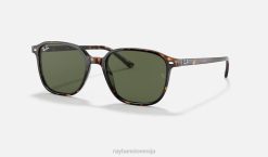 sl Ray-Ban moški leonard sončna očala polirana želva/zelena VB06210
