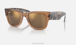 sl Ray-Ban moški mega popotnik sončna očala polirano prozorno rjavo/zlato VB0652