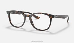 sl Ray-Ban moški optika rb5356 očala polirana havana VB062339