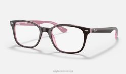 sl Ray-Ban moški optika rb5375 očala polirano rjavo na roza VB062054