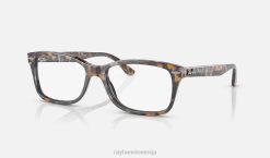 sl Ray-Ban moški optika rb5428 očala polirana siva/rjava havana VB061852