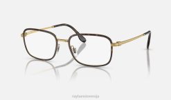 sl Ray-Ban moški optika rb6495 očala polirana havana na zlatu VB061718