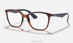 sl Ray-Ban moški optika rb7066 očala polirana svetla havana VB062290