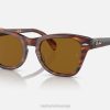 sl Ray-Ban moški rb0707s sončna očala polirana črtasta havana/rjava VB06405