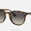 sl Ray-Ban moški rb4259 sončna očala polirana svetlo havana/siva VB06929