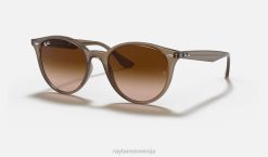sl Ray-Ban moški rb4305 sončna očala polirana bež/rjava VB06984