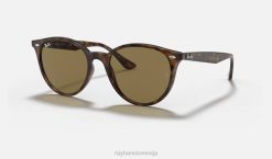 sl Ray-Ban moški rb4305 sončna očala polirana svetlo havana/temno rjava VB06983