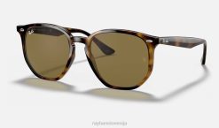 sl Ray-Ban moški rb4306 sončna očala polirana svetlo havana/temno rjava VB06645