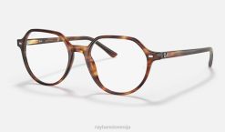 sl Ray-Ban moški thalia optika očala polirana črtasta havana VB061664