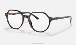 sl Ray-Ban moški thalia optika očala polirana havana VB061666