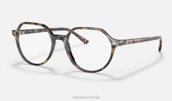 sl Ray-Ban moški thalia optika očala polirana rjava/siva havana VB061662