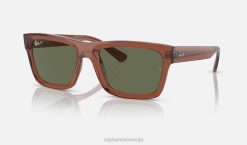 sl Ray-Ban moški Warren na biološki osnovi sončna očala polirana prozorna rjava/temno zelena VB06163