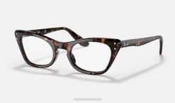 sl Ray-Ban otroci gospodična burbank optika očala polirana havana VB062705