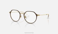 sl Ray-Ban otroci jack optika očala mat rjava VB062684