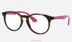 sl Ray-Ban otroci optika rb1554 očala polirana havana VB062766