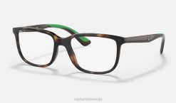 sl Ray-Ban otroci optika rb1605 očala polirana havana VB062838