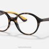 sl Ray-Ban otroci optika rb1606 očala polirana havana VB062840