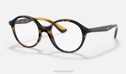 sl Ray-Ban otroci optika rb1606 očala polirana havana VB062840