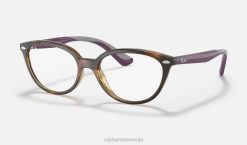 sl Ray-Ban otroci optika rb1612 očala polirana havana VB062788
