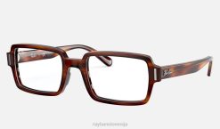 sl Ray-Ban ženske benji optika očala polirana črtasta havana VB062597