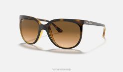 sl Ray-Ban ženske mačke 1000 sončna očala polirana svetlo havana/svetlo rjava VB061567